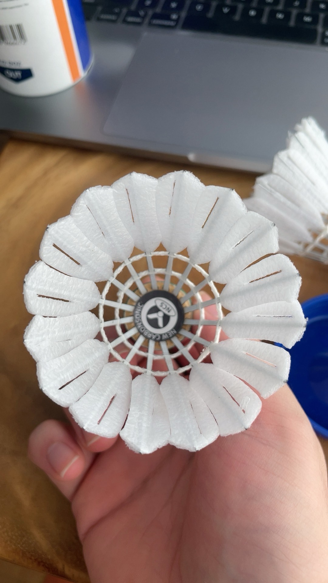 淋漓的胜利 淋漓的胜利