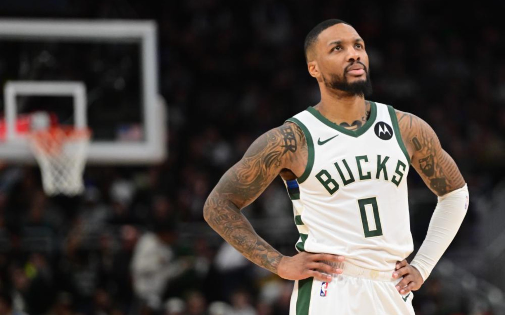 坚韧不拔的 坚韧不拔的