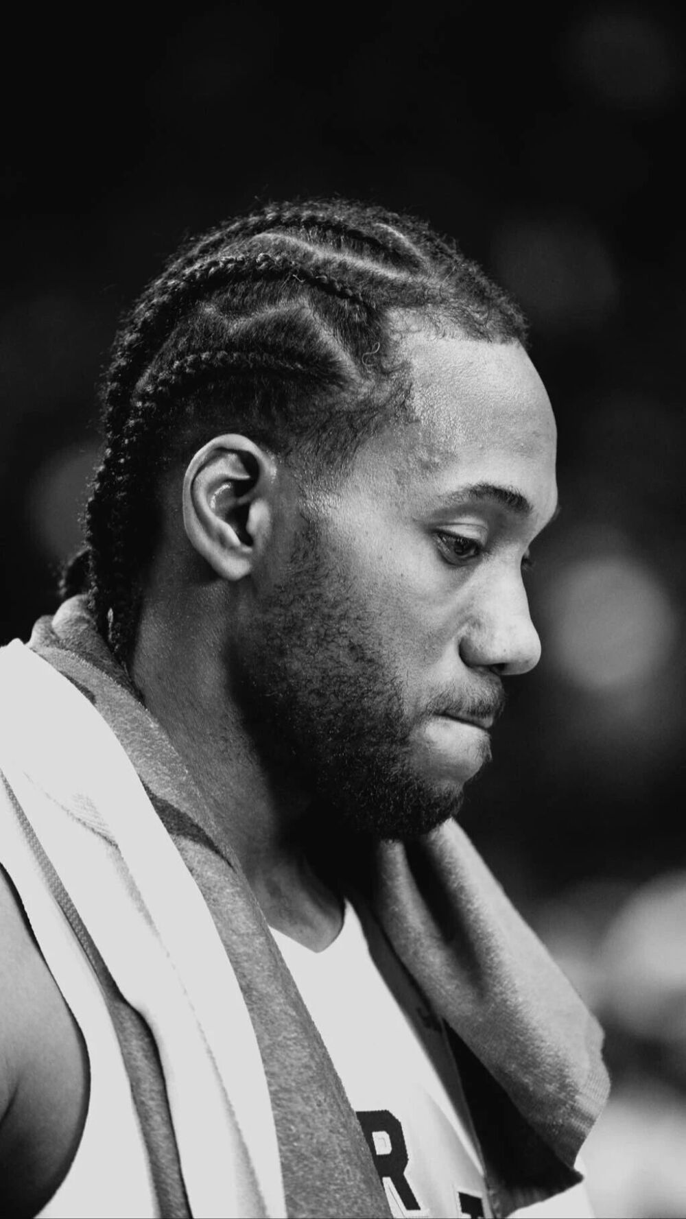 这篇文章以 这篇文章以